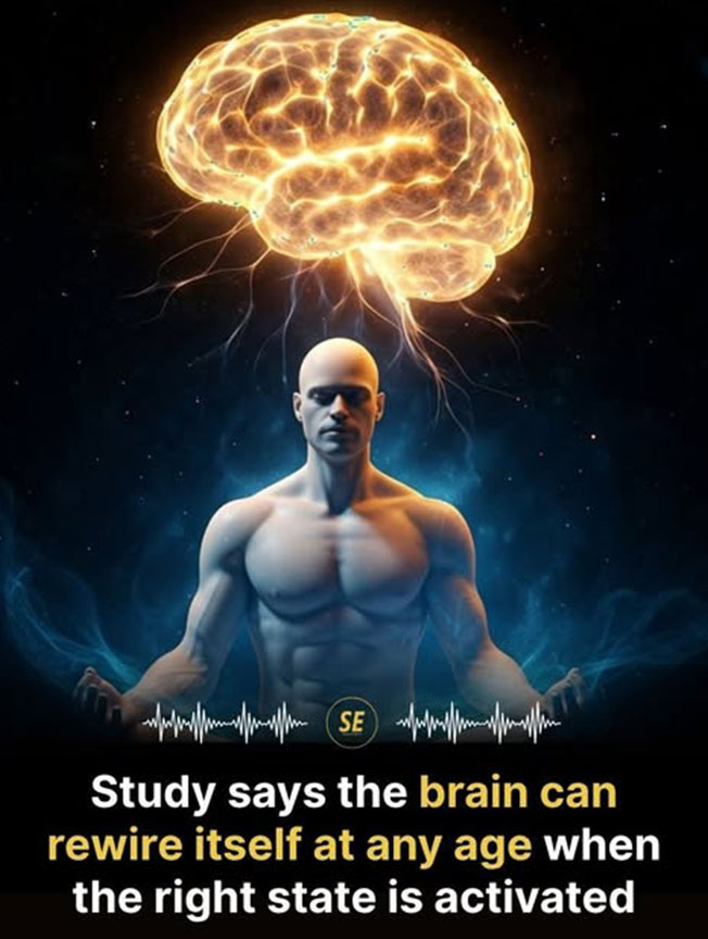 Wellness Tips - Living Heritage