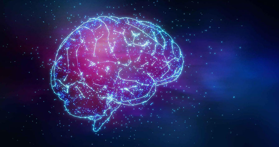 Bộ Não Của Bạn: Nhà Máy Hóa Chất Tối Thượng