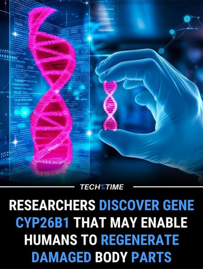 Wellness Tips - Living Heritage