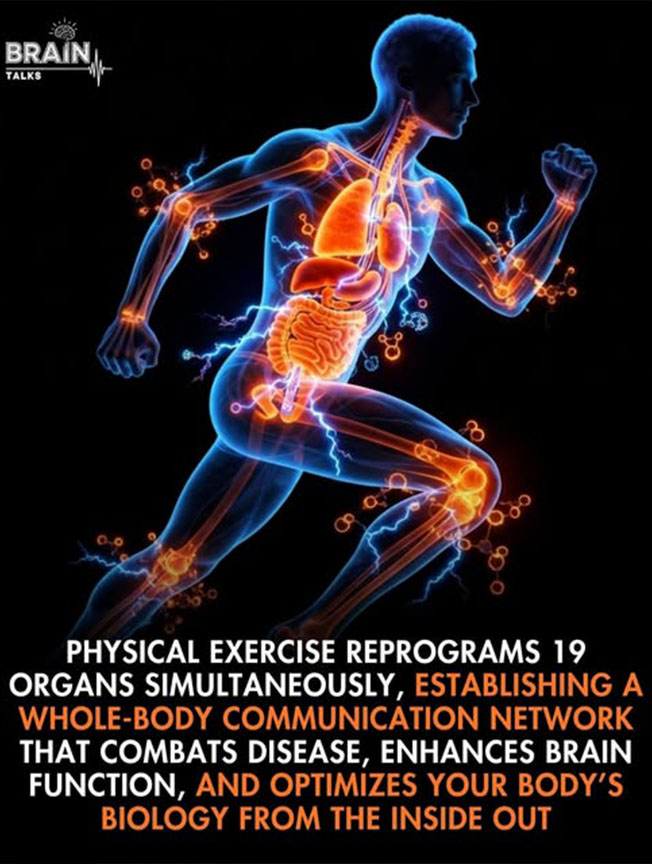 Wellness Tips - Living Heritage