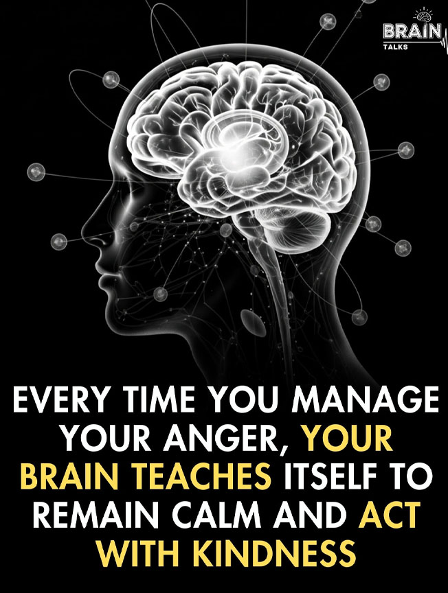 Khoa Học Chứng Minh: Kiểm Soát Cơn Giận Giúp Não Bộ Mạnh Mẽ Và Tốt Hơn