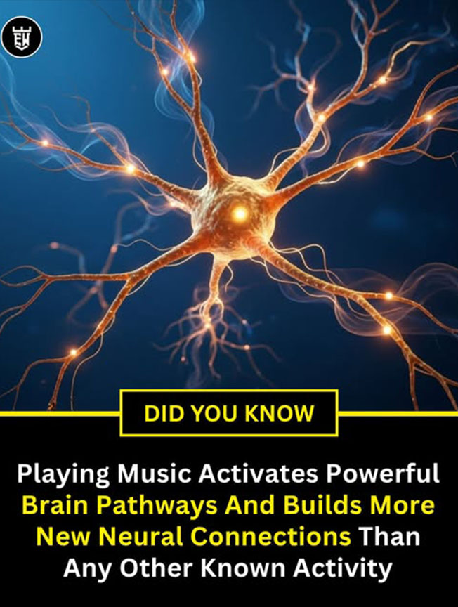 Wellness Tips - Living Heritage