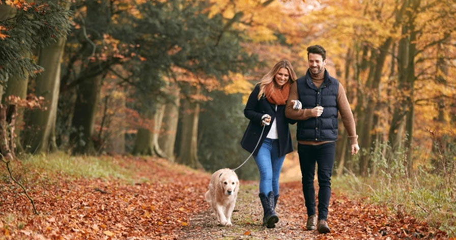 Tăng cường trí nhớ chỉ với 3.000 bước mỗi ngày