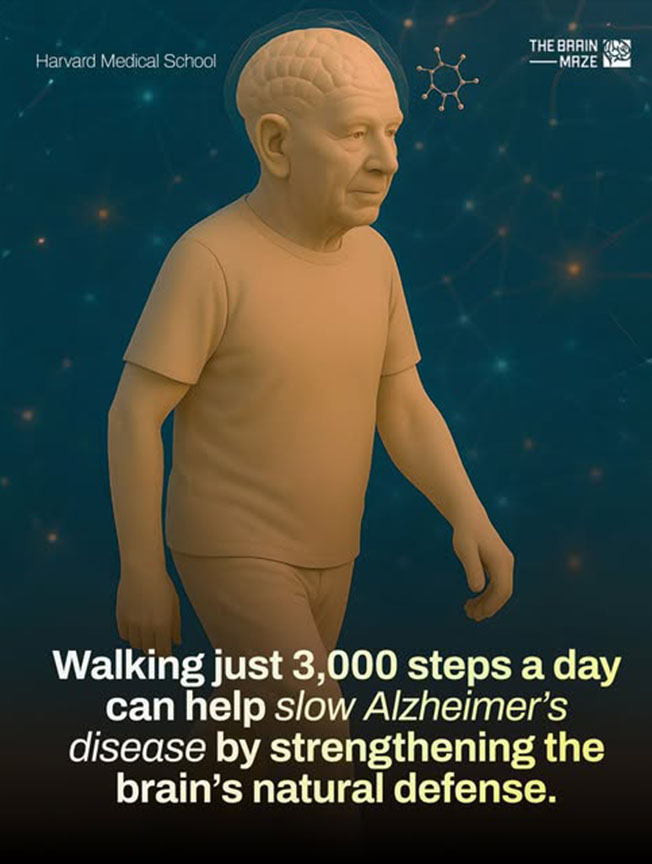 Wellness Tips - Living Heritage