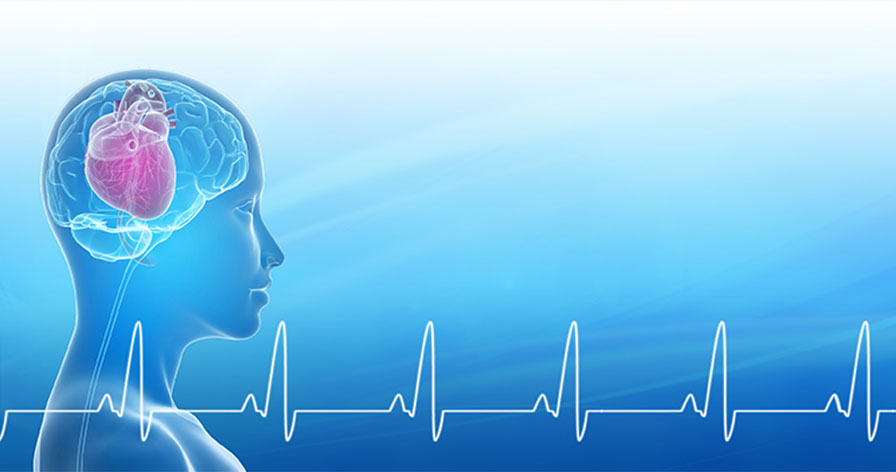 Trái tim định hướng cảm xúc và lựa chọn của con người