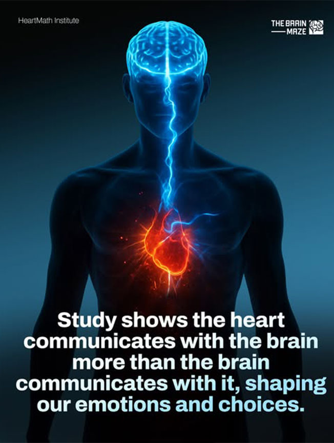 Wellness Tips - Living Heritage